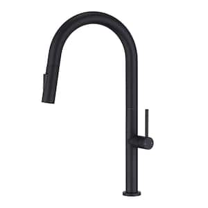 Single Handle Kitchen Faucet with Pull Down Sprayer in Matte Black (Deckplate Included)