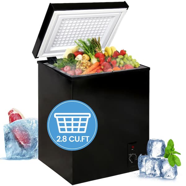 JEREMY CASS 21 in. 2.8 cu. ft. Manual Defrost Chest Freezer with