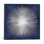 Silver Sunburst On Blue I by Abby Young Wall Art