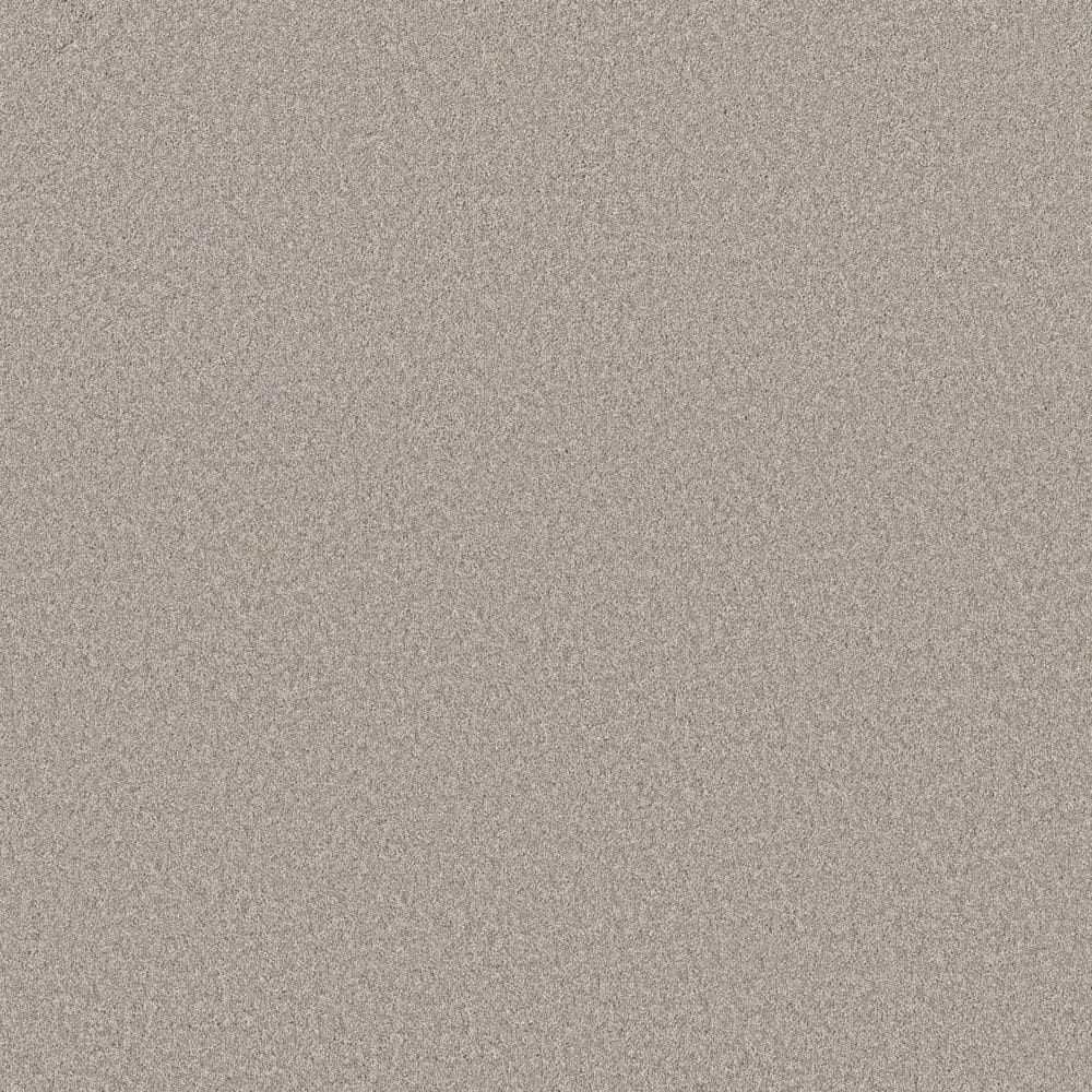 8 in. x 8 in. Texture Carpet Sample - Snug Sweets I - Color Capri Coast price history on PriceWatchPro