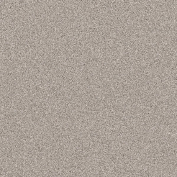 TrafficMaster 8 in. x 8 in. Texture Carpet Sample - Snug Sweets I ...
