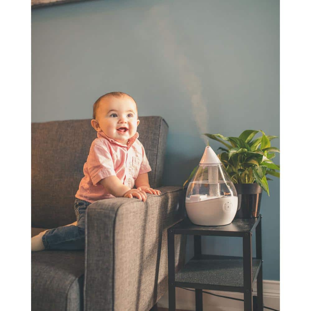 Clear and White Ultrasonic Cool Mist Humidifier with Auto Shutoff