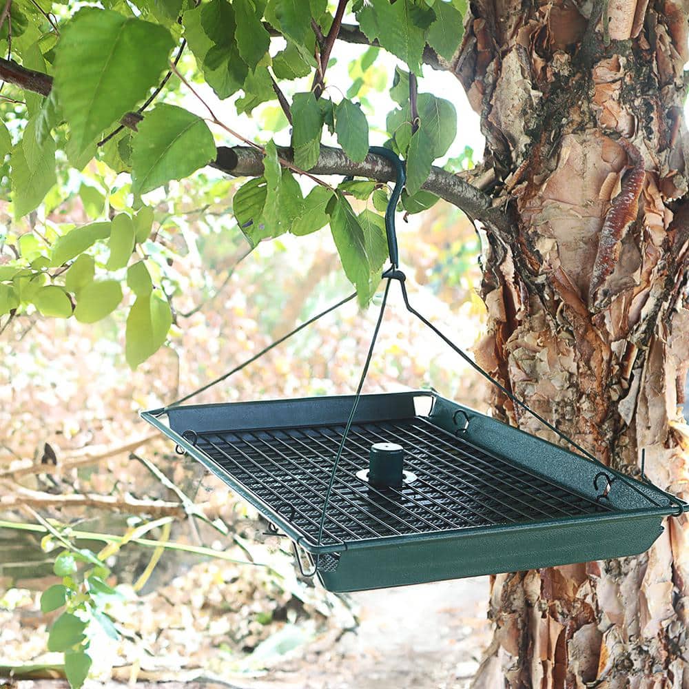 Green Metal Hanging Platform Bird Feeder with Removable Grid