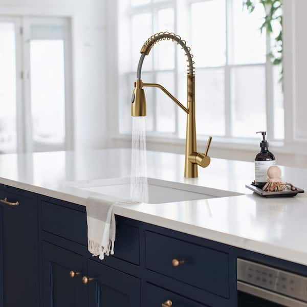 2-Spray Single Handle 20 in. Pull Out Kitchen Faucet with 360° Swivel in Brushed Gold
