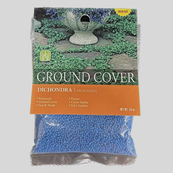 Stover Seed Dichondra Seed Value Pack