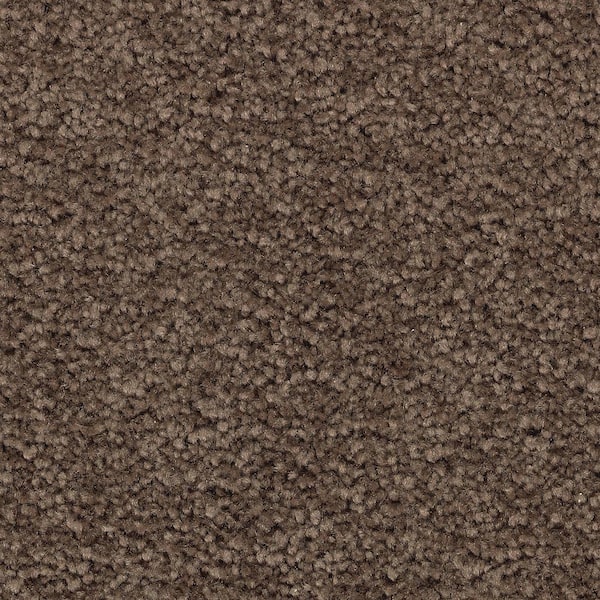 Lifeproof Unblemished I  - Riverdale - Brown 45 oz. Triexta Texture Installed Carpet