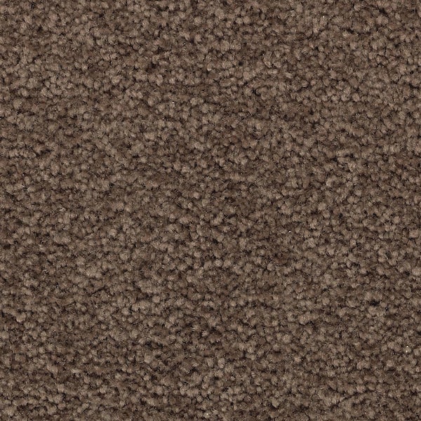 Lifeproof Unblemished II - Riverdale - Brown 55 oz. Triexta Texture  Installed Carpet 0707D-49-12 - The Home Depot