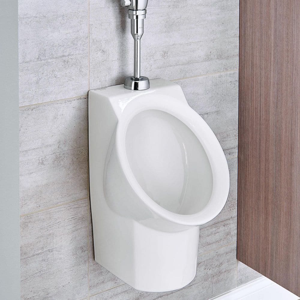 Selectronic Sensor-Operated Urinal Flush Valve 0.125 GPF price history