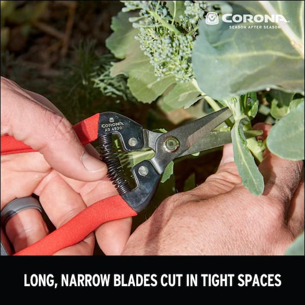 https://images.thdstatic.com/productImages/48d6c38e-5ae0-4833-8869-943cc18b4e32/svn/corona-pruning-shears-ag-4930-1d_600.jpg