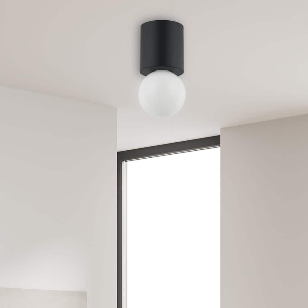 Matte Black Globe Glass Indoor/Outdoor Ceiling Light