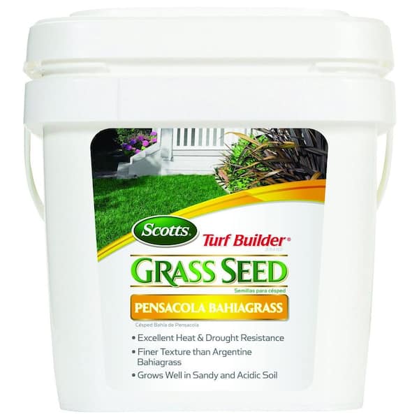 Scotts 5 lb. Turf Builder Pensacola Bahia Grass Seed 18274 The Home Depot