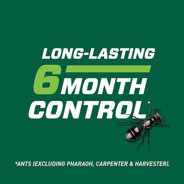 Ortho - Bug B-gon Lawn Insect Killer 10 lbs. for Above and Below the Ground