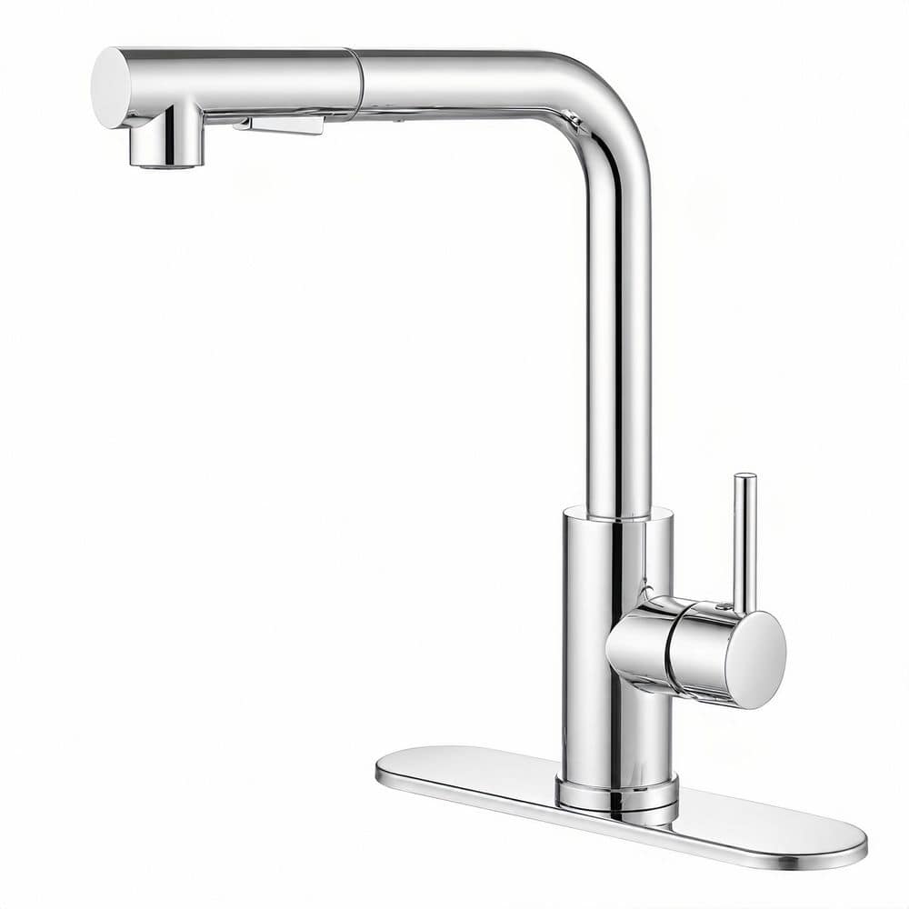 Single Handle Pull Out Sprayer Kitchen Faucet with Pull Out Spray Wand in Polished Chrome price history on PriceWatchPro