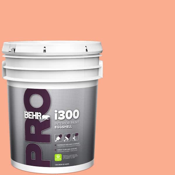 BEHR PRO 5 gal. #210B-4 Sunset Strip Eggshell Interior Paint