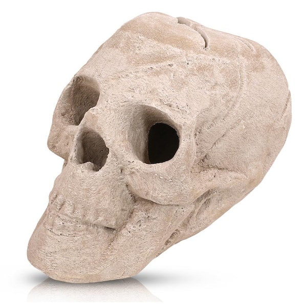 Barton 8.75 in. x 6.50 in. Ceramic Fireproof Skull Gas Log Accessories for Firepit (1-Pack)