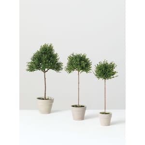 14.5 in., 13 in. and 12 in. Artificial Tea Leaf Topiary - (Set Of 3)