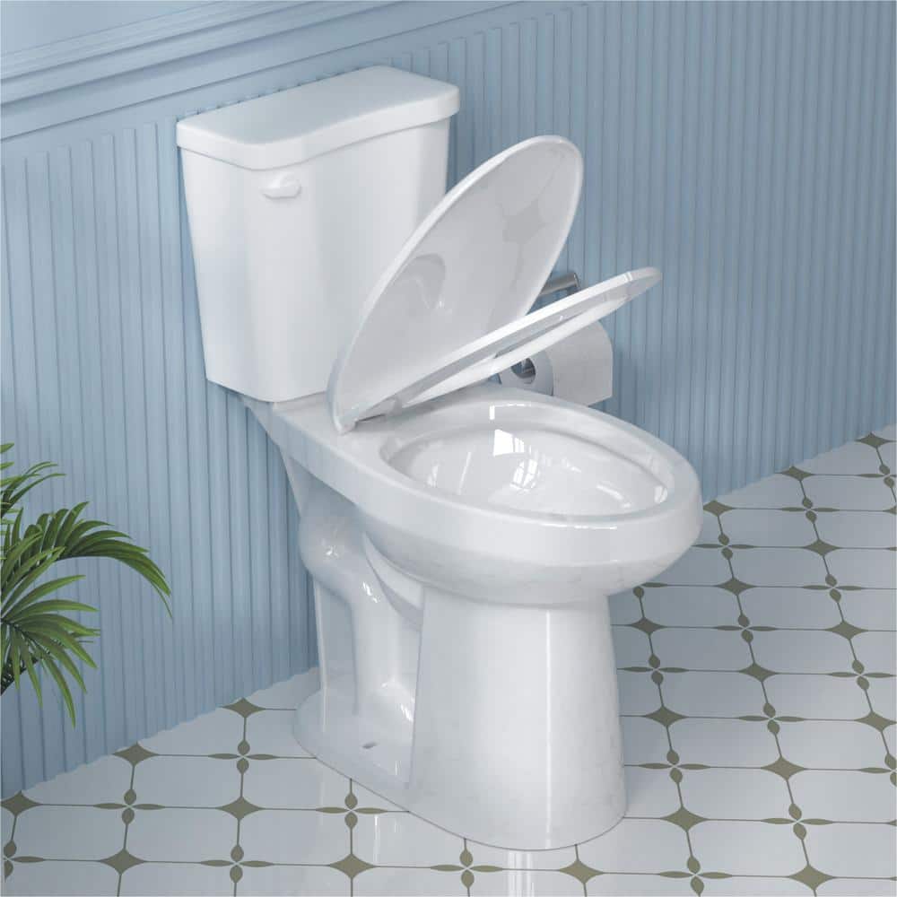 Aguamaph 20 in. White Elongated Two-Piece Toilet with Seat