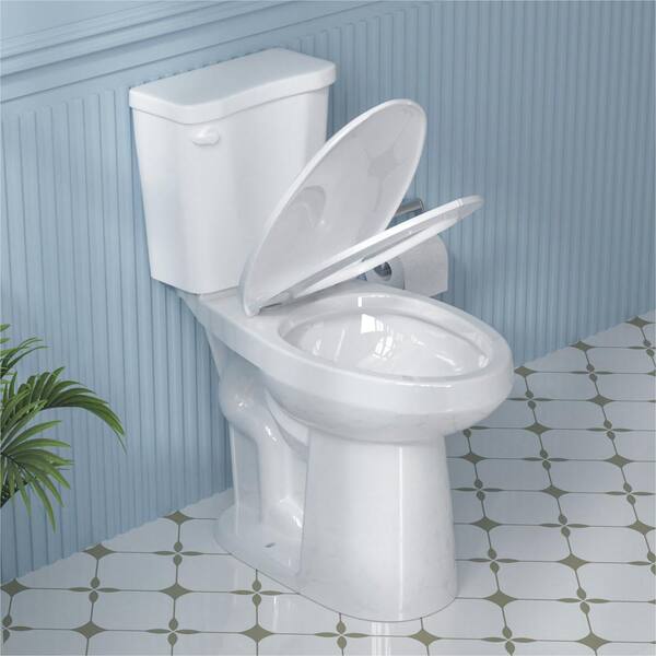【G-RAP】TY /  FLUSH Aguamaph 19 in. 2-Piece Toilet Single Flush 1.28 GPF Map