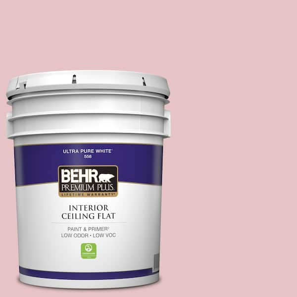 5 gal. #S140-2 Cranapple Cream Ceiling Flat Interior Paint
