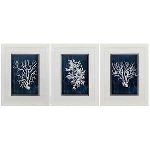Victoria White Gallery Frame (Set of 3 )