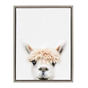 Sylvie "Animal Studio Alpaca 3" by Amy Peterson Framed Canvas Wall Art