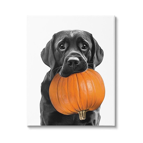 Stupell Industries Lab Dog with Pumpkin byAnnalisa Latella 1 Piece Unframed Graphic Print Animal Poster Art Print 20 in. x 16 in.