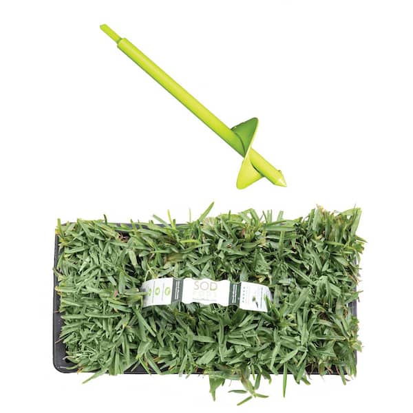 Sod Pods St Augustine CitraBlue Sod/Grass Plugs 32-Count/SP Power Planter Bundle - Natural, Affordable Lawn Improvement