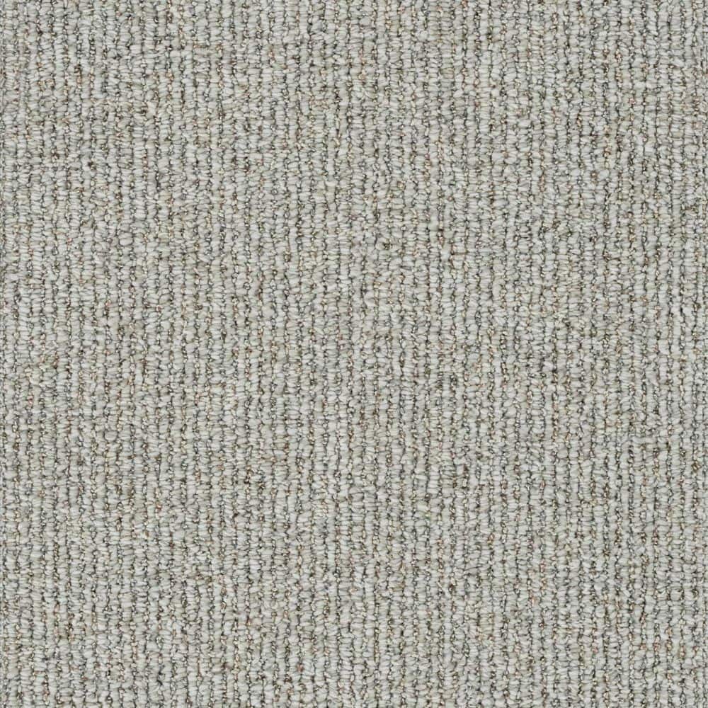 8 in. x 8 in. Loop Carpet Sample - Symphony Walk - Color Orchestra price history on PriceWatchPro
