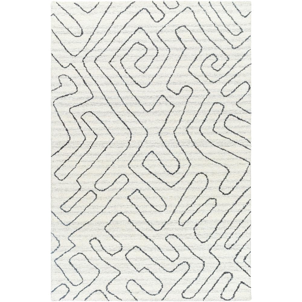 Jules Charcoal/Gray 2 ft. x 3 ft. Modern Indoor Area Rug price history on PriceWatchPro