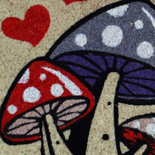 30 in. x 18 in. Coir Outdoor Door Mat