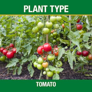 5 lbs. Organic Tomato and Vegetable Plant Fertilizer