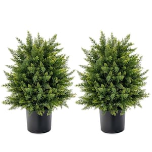 2- Piece 22 in. H Small Green Indoor Outdoor Decorative Artificial Cedar Topiary Ball Tree in Pot