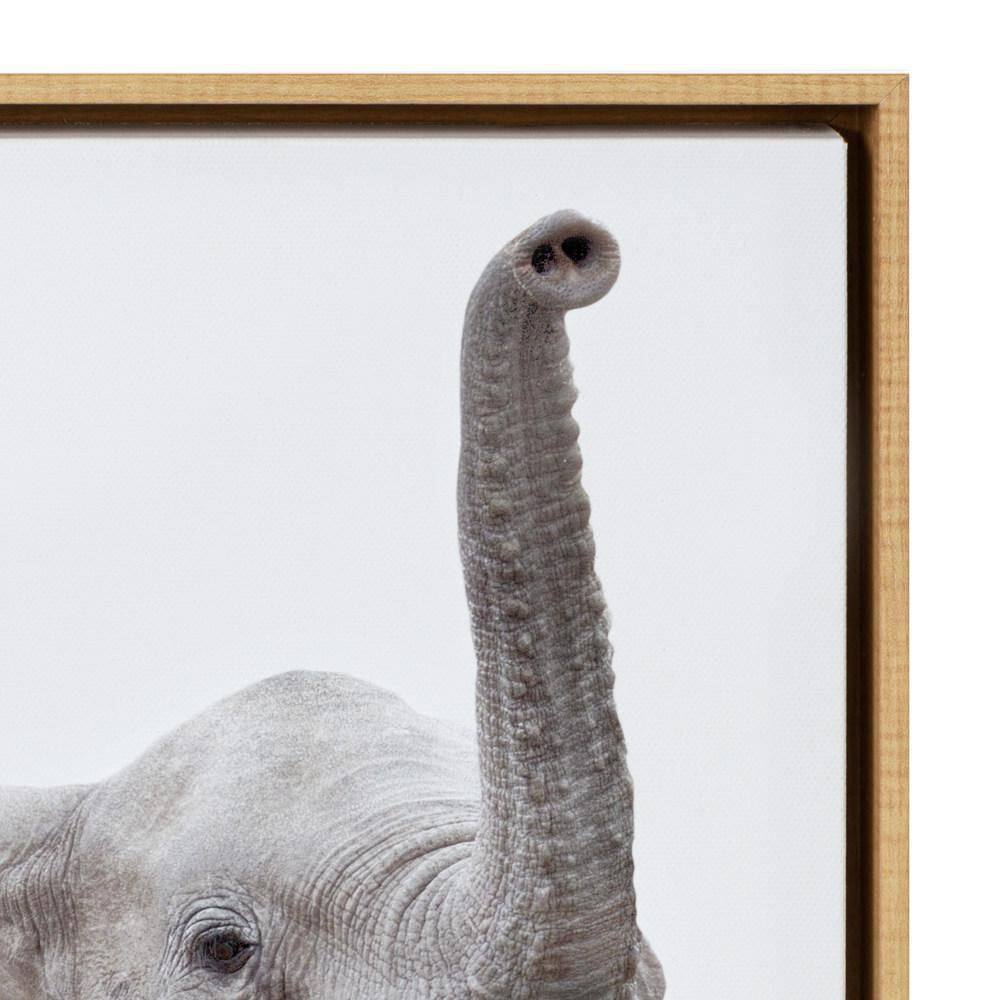 Safari Animal Collection Framed Canvas Wall Art Set of 6