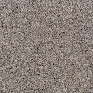 Topaz I - Moose - Beige 40 oz. SD Polyester Texture Installed Carpet