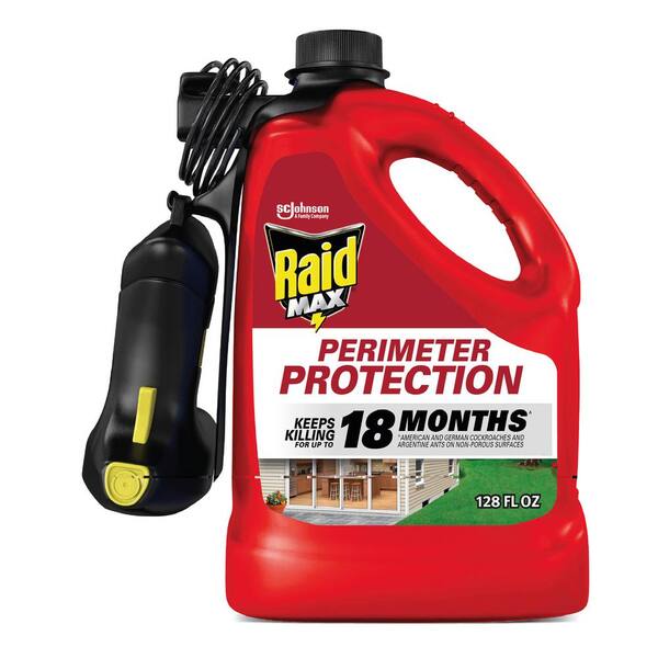 Home depot deals raid