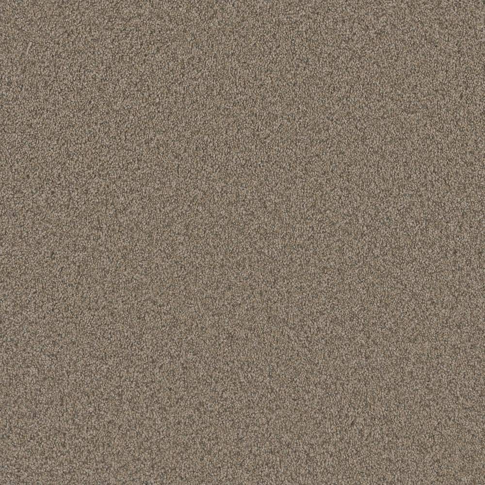 8 in. x 8 in. Texture Carpet Sample - Trendy Threads Plus I -Color Desert price history on PriceWatchPro