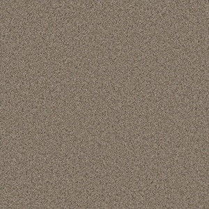 8 in. x 8 in. Texture Carpet Sample - Trendy Threads Plus II -Color Desert