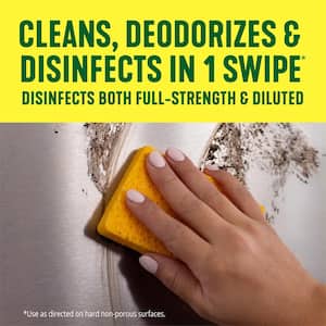 80 OZ. Original Disinfecting All-Purpose Cleaner (2-Pack)