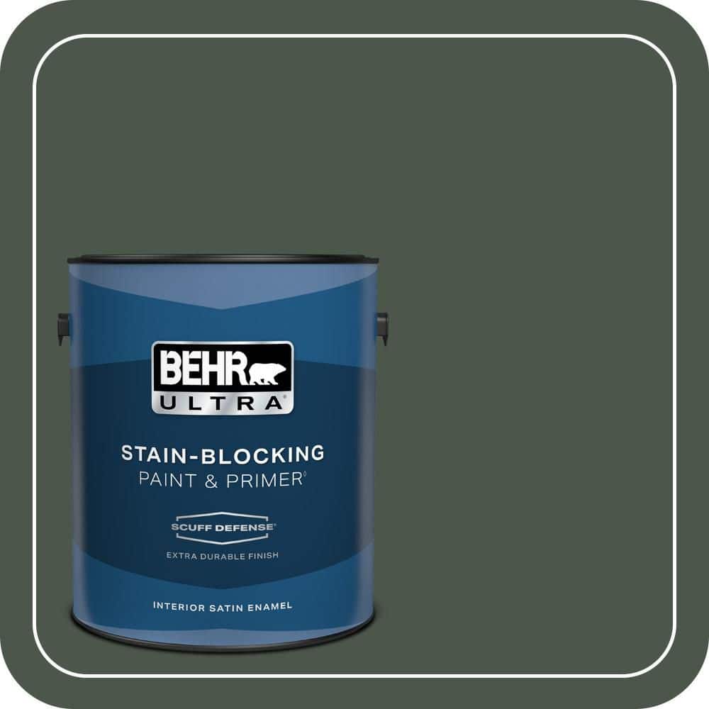 1 gal. #PMD-66 Deep Evergreen Extra Durable Satin Enamel Interior Paint & Primer price history on PriceWatchPro