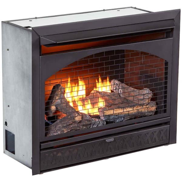 Procom Gas Fireplace Insert Duel Fuel, Fireplace Insert Fan Switch