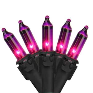 Set of 100 Purple Mini Christmas Lights 2.5 in. Spacing with Black Wire