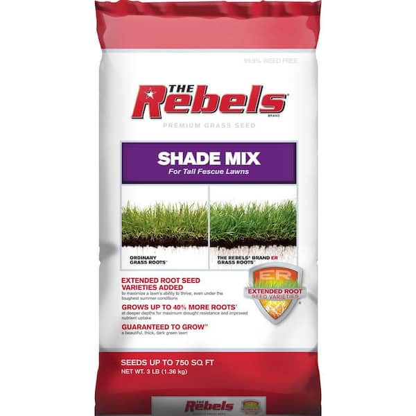 The Rebels 3 lb. Tall Fescue Shade Grass Seed PCG Mix
