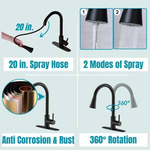 Single-Handle Pull Down Sprayer Kitchen Faucet with 2 Modes Spray, Pull Out Spray Wand in Matte Black