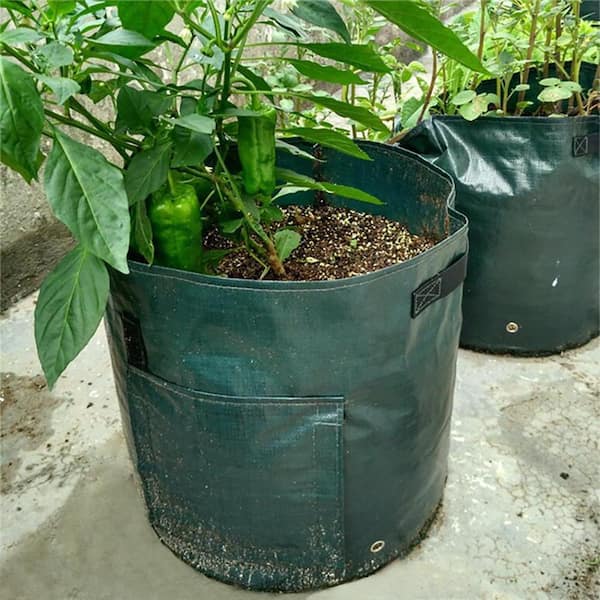 https://images.thdstatic.com/productImages/49357085-1ce3-4fba-9222-0fd5cd041880/svn/green-agfabric-grow-bags-gbpe3530p4g10-44_600.jpg