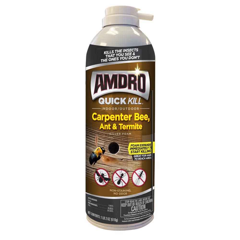 UPC 813576004279 product image for Quick Kill 18 oz. Indoor and Outdoor Carpenter Bee, Ant and Termite Killer Foam | upcitemdb.com