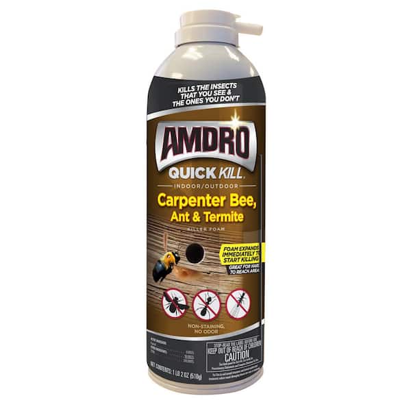 AMDRO Quick Kill 18 oz. Indoor and Outdoor Carpenter Bee, Ant and Termite Killer Foam