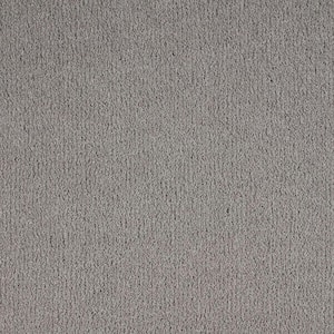 Northern Hills I Raviens Grey 39 oz. Triexta Texture Installed Carpet
