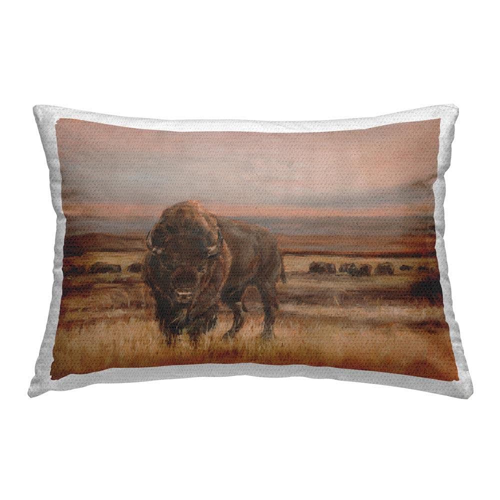 Southwestern Bison Landscape Outdoor Printed Throw Pillow by Ethan Harper price history on PriceWatchPro