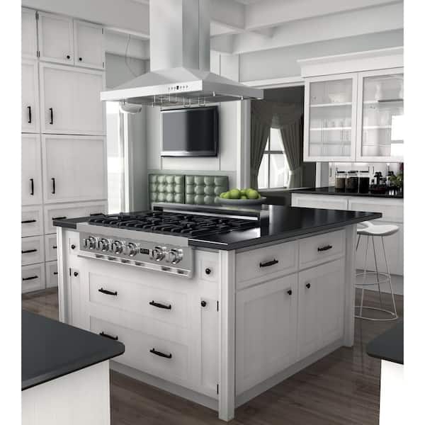 30 in. 400 CFM Convertible Island Mount Range Hood with 2 LED Lights in Stainless Steel
