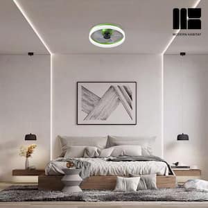 Dusen 20 in. LED Indoor Green Ceiling Fan with Remote